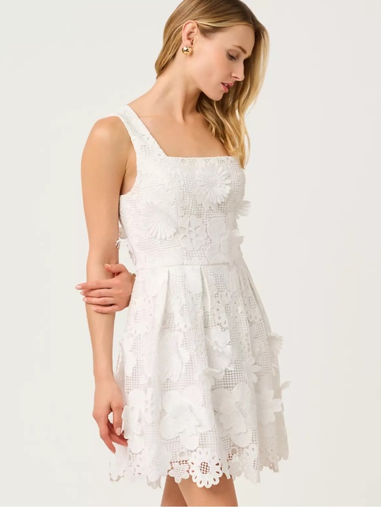Lilly Pulitzer Dresses & Skirts - Lilly Pulitzer Cindy Skirted Romper